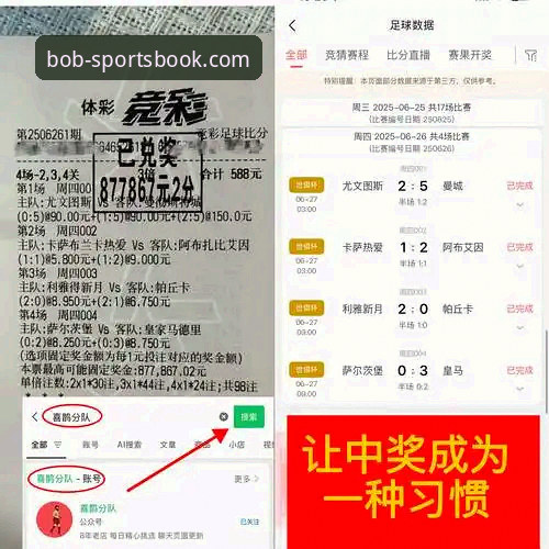 半岛BOB体育优惠信息全解析：创新视角下的体育平台新体验